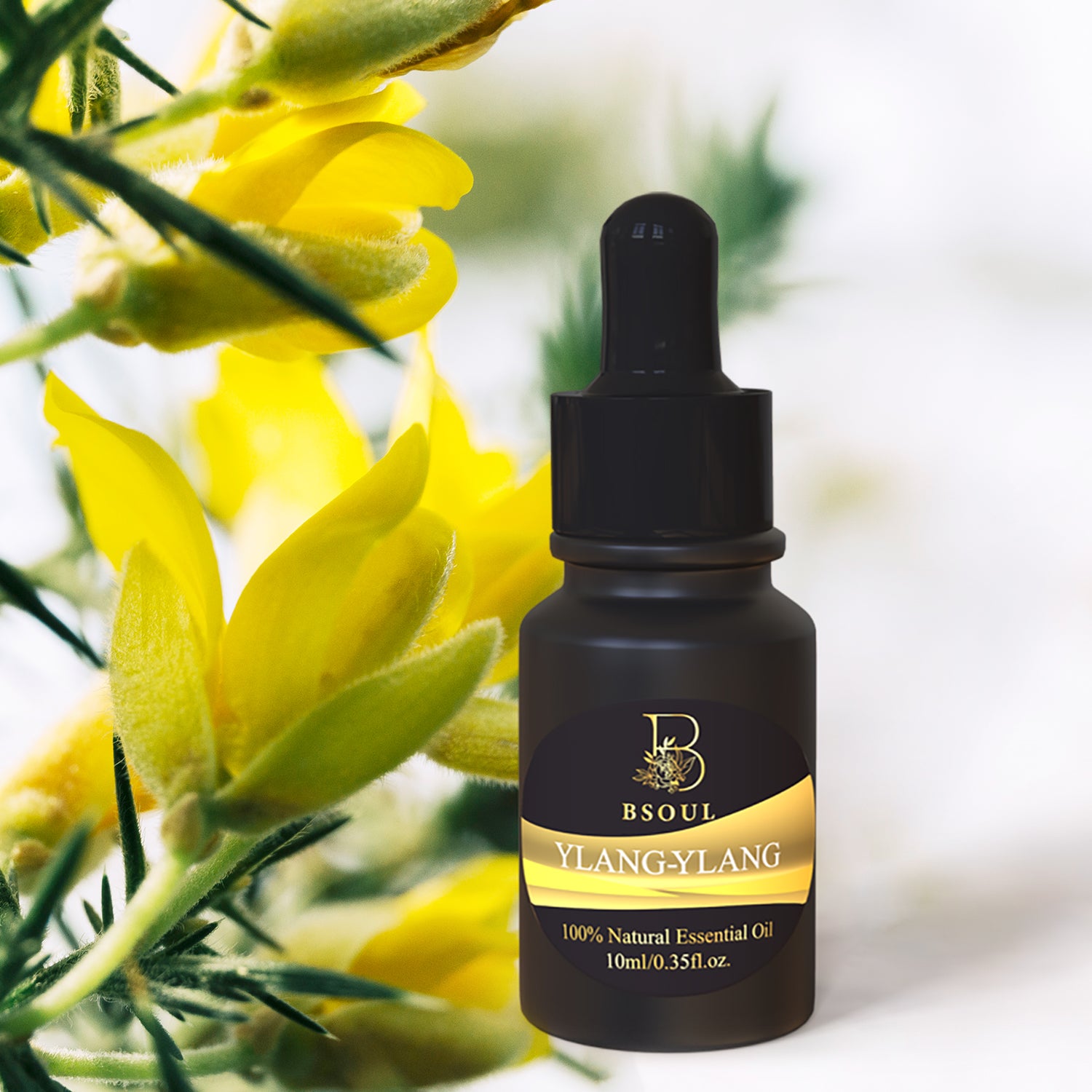 Ylang-Ylang Essential Oil-2